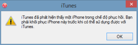 Click OK khi nhận được thông báo đã phát hiện iTunes trên iPad