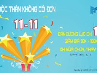 Chương trình khuyến mãi mừng Lễ Độc Thân 11/11